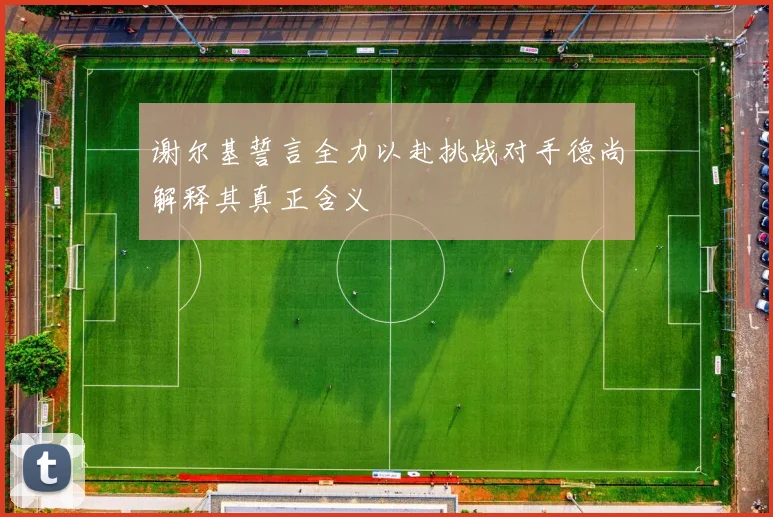 谢尔基誓言全力以赴挑战对手德尚解释其真正含义